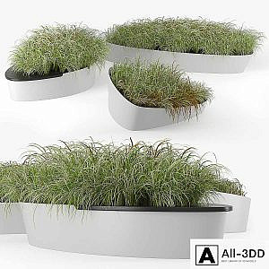 Planterworx dune