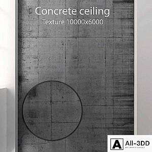 Concrete ceiling 29