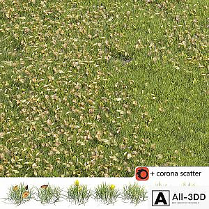 Autumn lawn