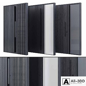 Modern entrance door