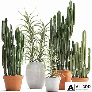 Plant collection 302. Cactus set. Cacti, cereus, aloe, indoor cactus, pot, flowerpot, clay, clinker, Aloe, concrete, desert plants, outdoor