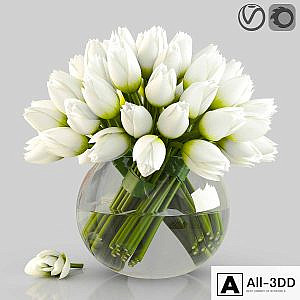 Angelique tulips