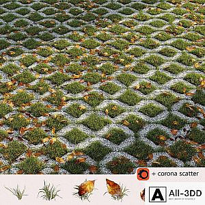 Grass in the square brick