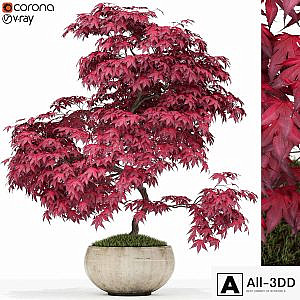 Plants collection 164
