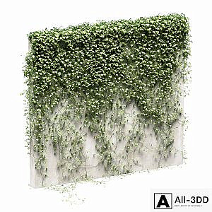 Ivy for the fence v3