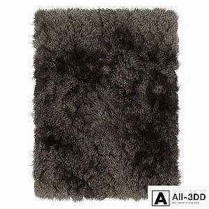 Carpet shaggi
