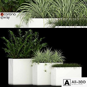 Plants collection 186