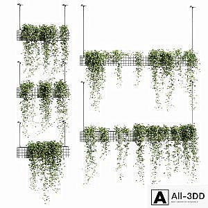 Ivy in hanging flower pots. 5 models