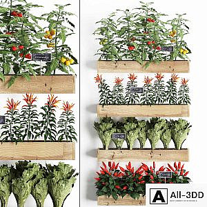 Vertical gardening in wooden wall boxes pots with kitchen garden, vegetable garden, vegetables, herbs, peppers, tomatoes, tomatoes, lettuce. Set 45.