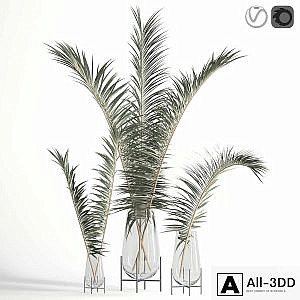 Dry palm leaves in Echasse vases