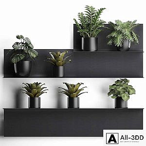 Collection of small plants black metal shelf with flowers in pots with monstera, Zamiokulkas, Chlorophytum, Philodendron, bromelia, loft. Set 49.
