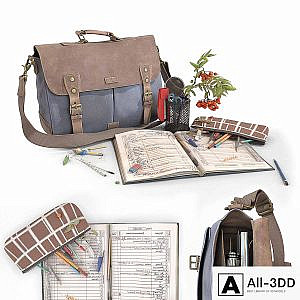 School bag and stationery