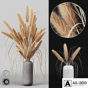 A bunch of Pampas 2
