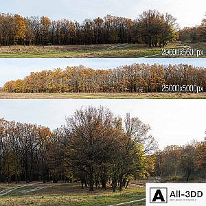 Oak Grove. 2 panoramas