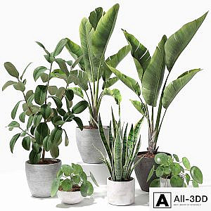 Set of plants 09