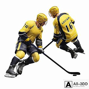 Hockey player. Position 1