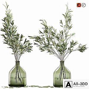 Olive stems in glass vase with water