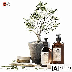 Tiny bonsai olive tree in stone pot with decor set for bathroom