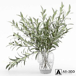 Olive branches in a vase