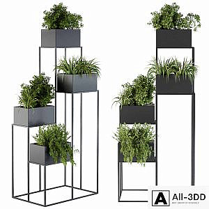 Black Box Plants on stand