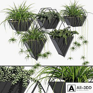Tulan hanging planter