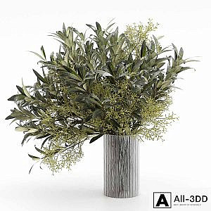 Bouquet of olive branches.