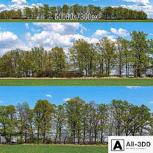 Panorama with Trees v2. 50k