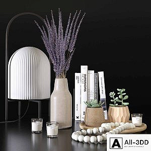 Decorative set with lavander and succulents
