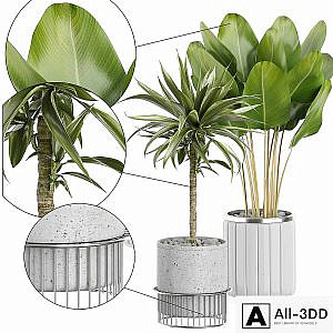 INTERIOR FLOWER PACK 62