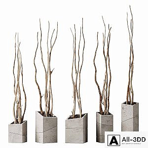 Branch decor vase slice n2 / Branches curves in beveled vases