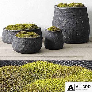 Crosshatch concrete vessel collection with moss
