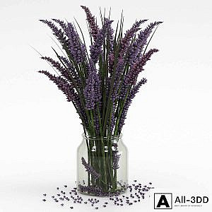 Bouquet of lavender.