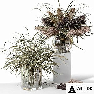 Dry herb bouquets in glass vases