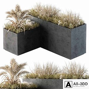 Outdoor Concrete Plant Box with Cereals and Dried Plants