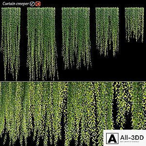 Vernonia Elliptica | Curtain creeper