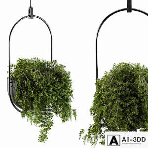 Hanging box plant - Set 83