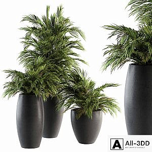 Indoor Plant Set 88 - Tropical