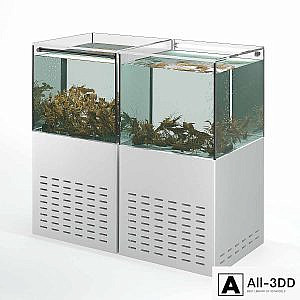 Crayfish aquarium