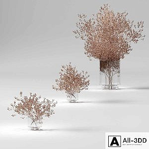 Dry plants set. 3 models