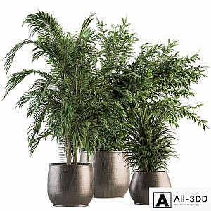 indoor Plant Set 112 - Tropical Plants