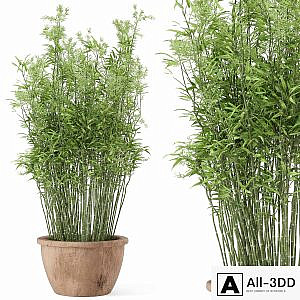 Outdoor Plants Bamboo in rusty Cly Pots - Set 10