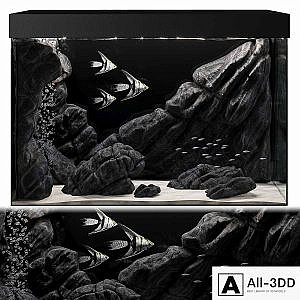 Aquarium