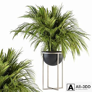 indoor Plant Set 158 - Tropical Plant