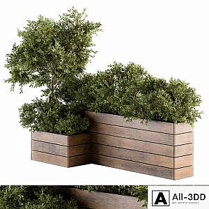 Outdoor Plants tree in Wood Box - Set 154