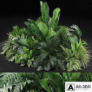 Plants collection 445