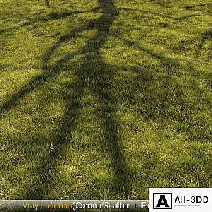Grass Landscape