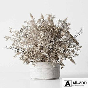 Dried Flower
