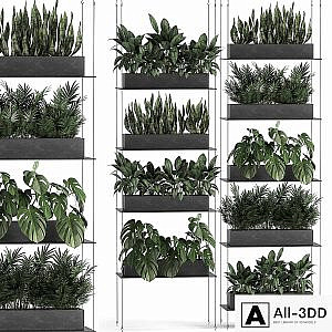 Vertical gardening of the home garden on a black flower shelf with a Monstera, a phytosten, a phytomodule. Set of 64