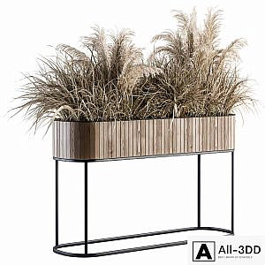 indoor Plant Set 122- Dried Plants in Wood Stand