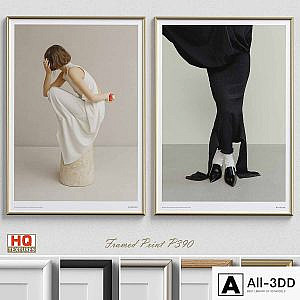 Framed Print P-390